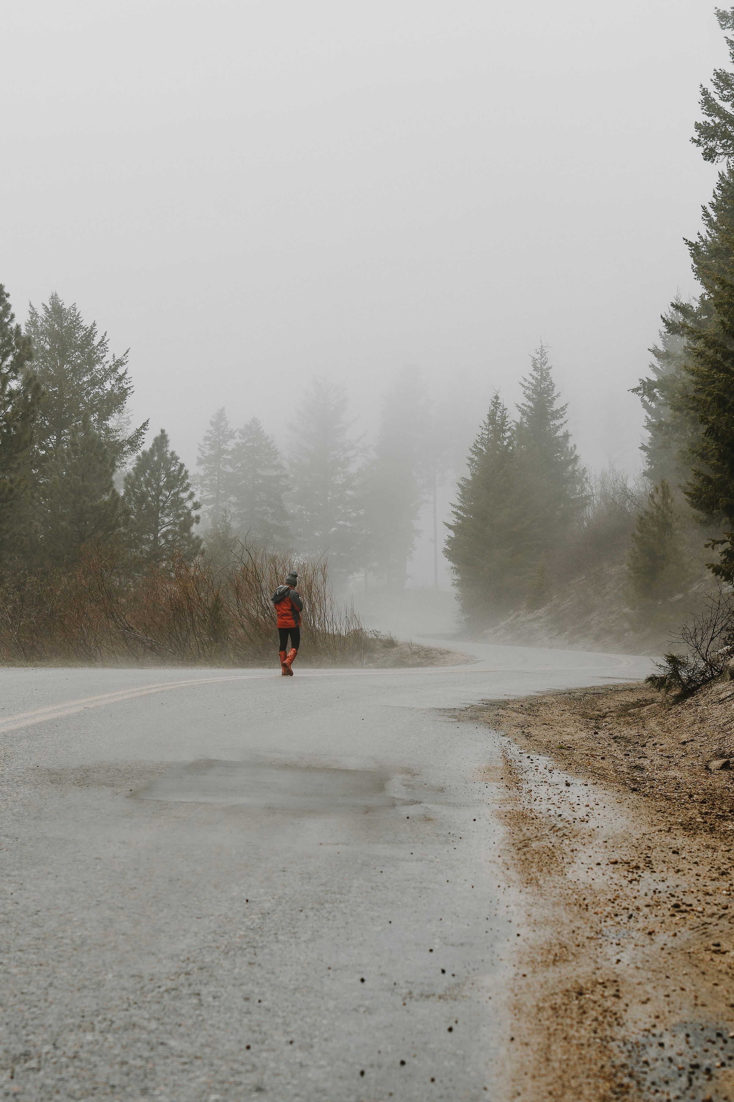 A lone runner on a misty forest road